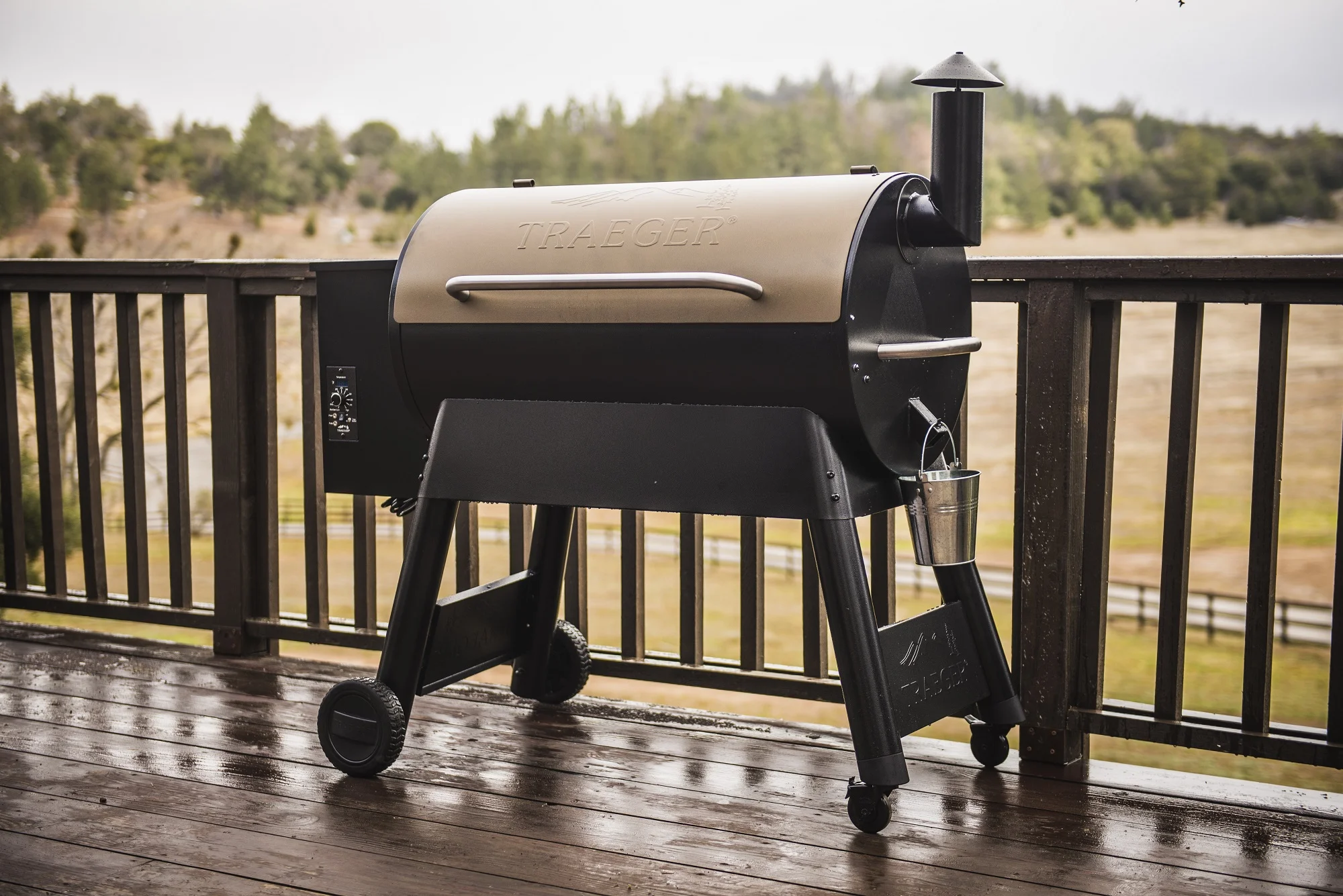Traeger Pellet Grills Pro 34 Wood Pellet Grill and Smoker - Bronze - Radiant Selections