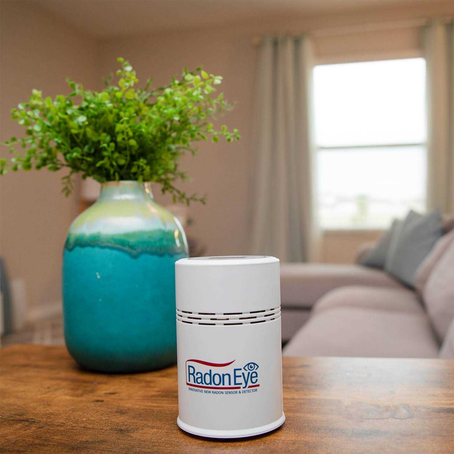 RadonEye Smart Home Radon Gas Detector, Fast and Accurate by Ecosense - Shop Hardware Tools Online Store