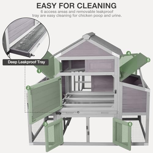 Large Chicken Coop with Run - Outdoor Chicken House for 6-8 Chickens with Six Nesting Box, Five Perches, Leakproof Pull-on Tray
