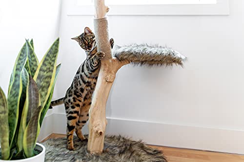 Wooden Cat Climbing Tree Tower, Modern Single Branch Cat Condo, Wood, Cat Lover Furniture Gift by MAU LIFESTYLE (Alpine White)
