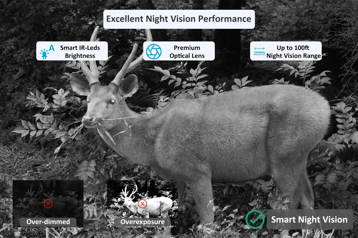 Meidase P100 WiFi Trail Camera (2022), 32mp 1296p, Game Cameras with 100ft Night Vision Motion Activated Waterproof, Compatible with Bluetooth