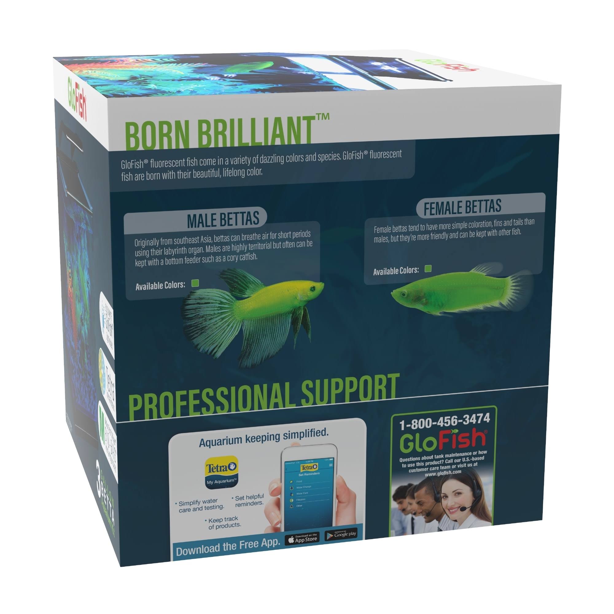 GloFish Betta Glass Aquarium Kit 3gal