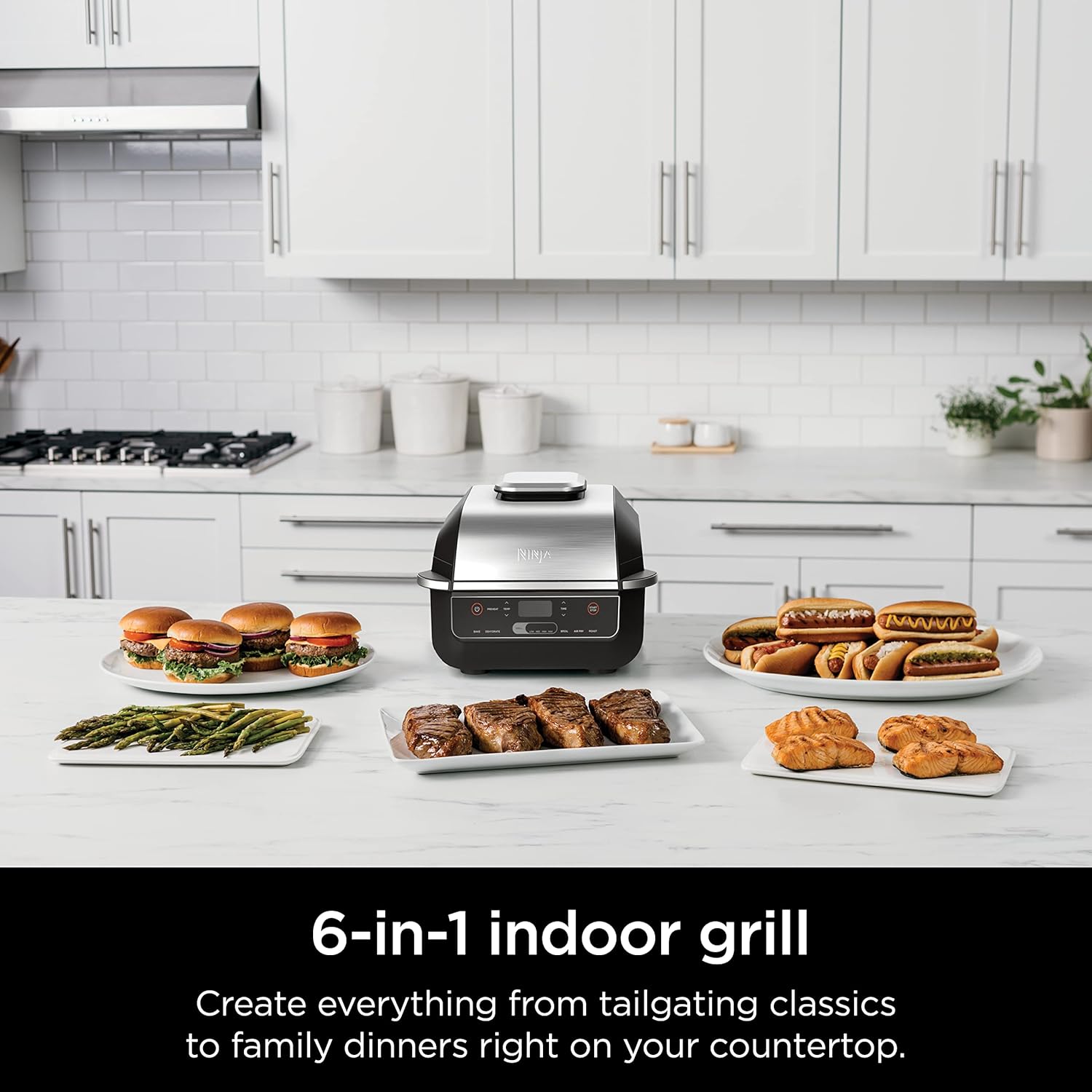 Ninja EG201 Foodi 6-in-1 Indoor Grill with Air Fry, Roast, Bake, Broil, & Dehydrate, 2nd Generation, Dishwasher Safe, Black/Silver