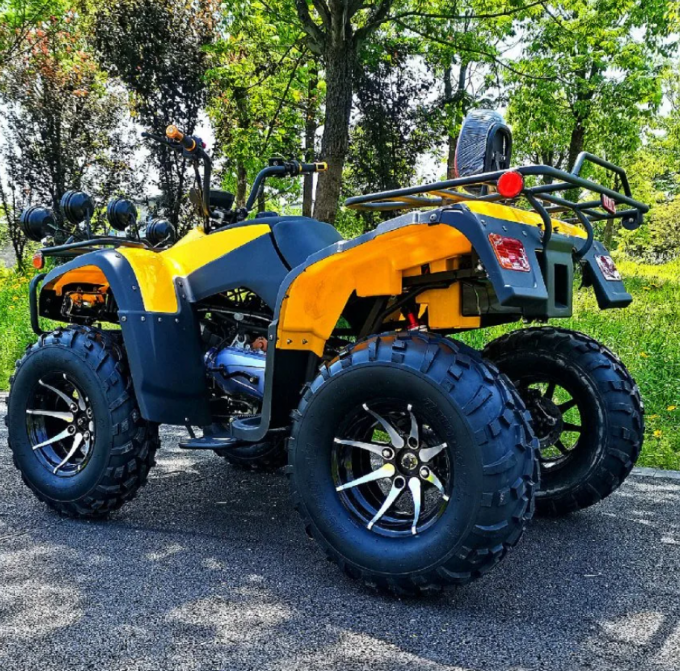 250cc Four-Wheel Drive ATV Quad ATV Farmer Quad Bike