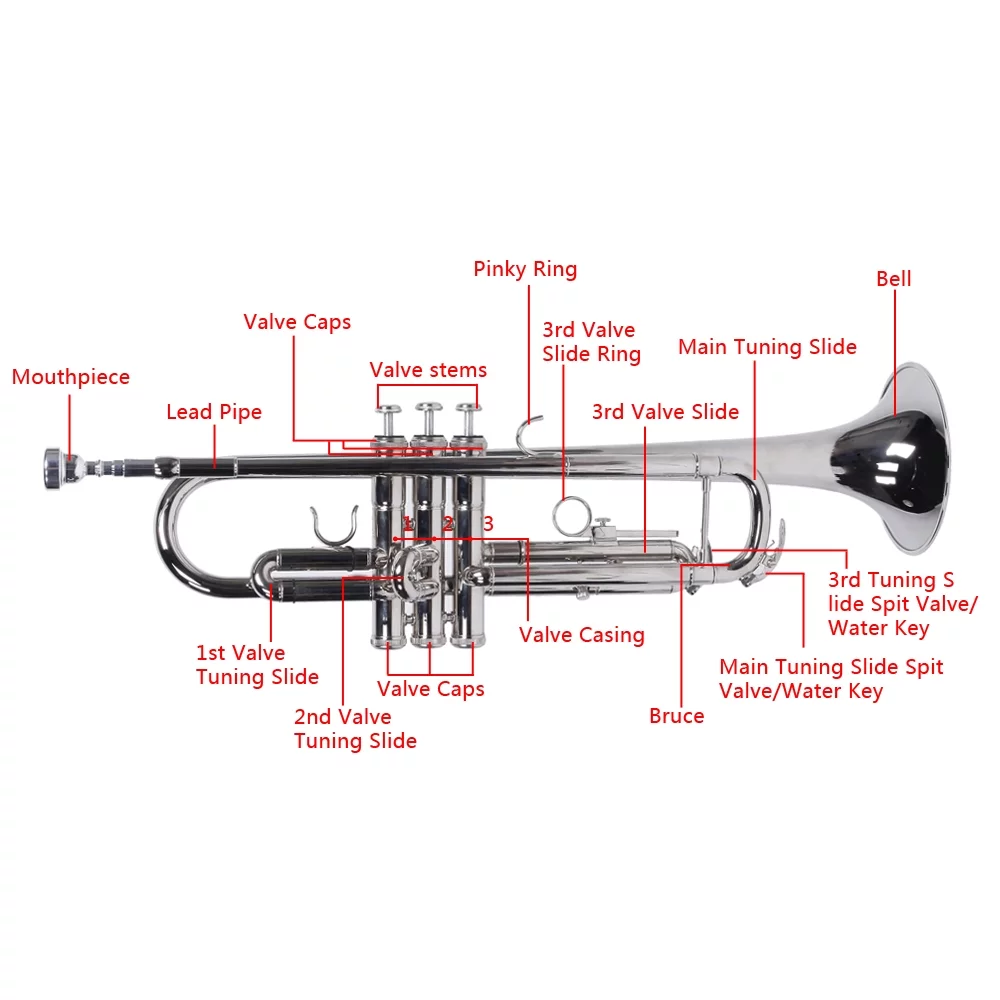 Trumpet Set for Students Beginner Bb Standard Brass Instrument ,DFITO Trumpet  with Mouthpiece Gloves Set - Curated Treasures Market