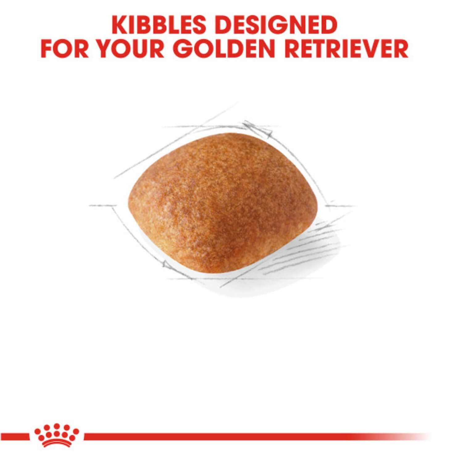 Royal Canin Golden Retriever Adult Dog Food - Pet Supplies online store