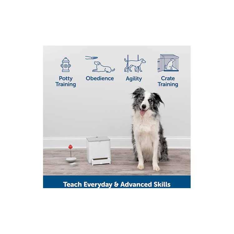PetSafe Teach &amp; Treat Remote Reward Trainer - Pet Supplies online store
