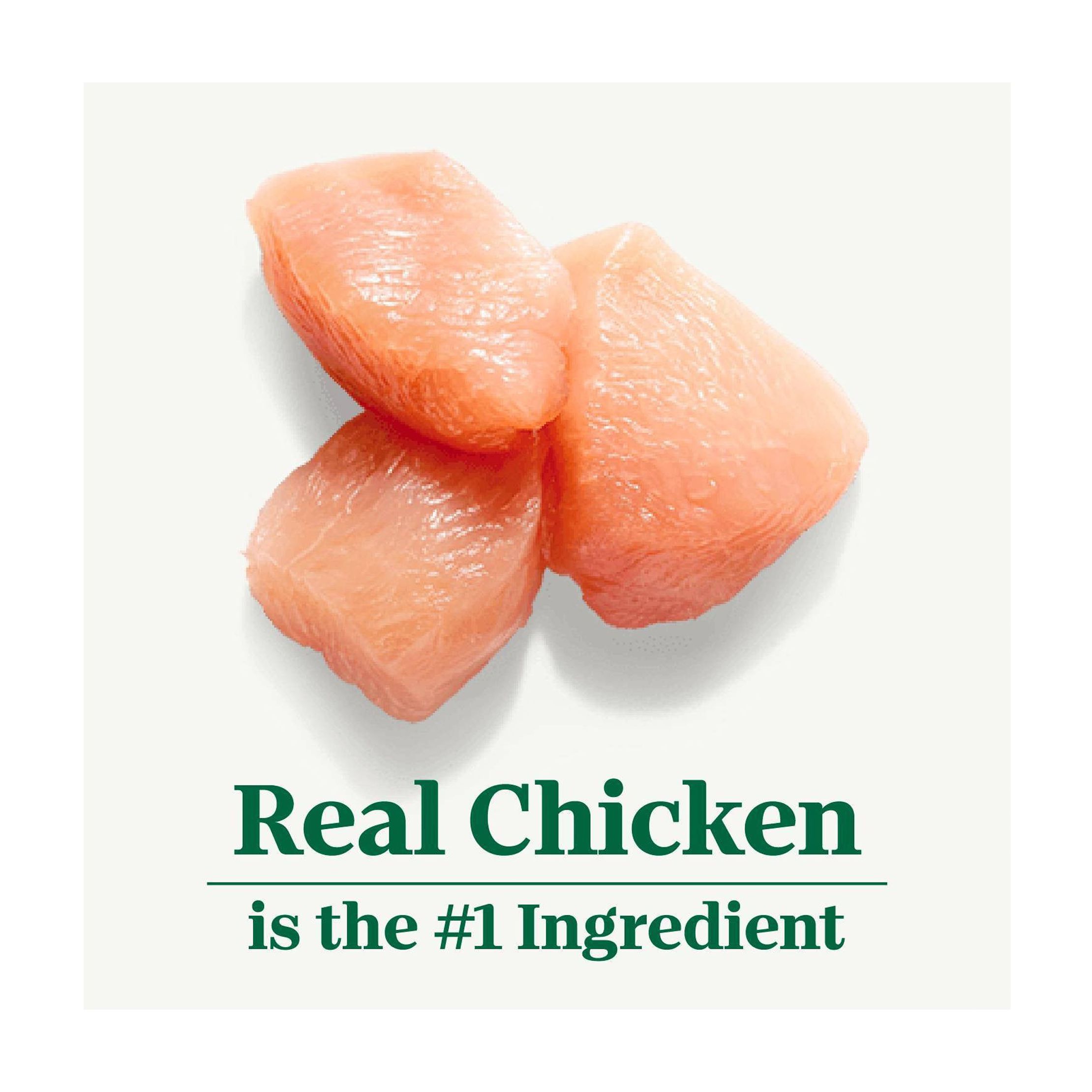 Natural Choice Chicken and Brown Rice Recipe Adult Dry Dog Food - 30lbs
