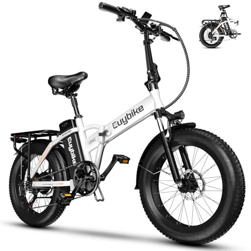 1000W Folding Electric Bike,48V 20AH Removable Battery E Bike,30+MPH,80 Miles Max Range Electric Bike for Adults,20" Fat Tire Foldable ebike