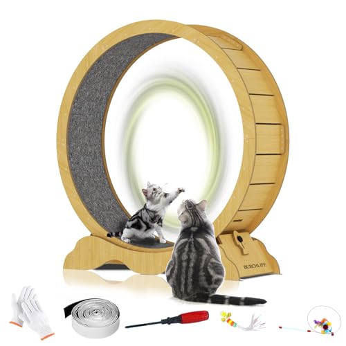 Cat Exercise Wheel 45 Inch Cat Treadmill for Indoor Cats, Running Wheel with Detachable Carpeted Runway