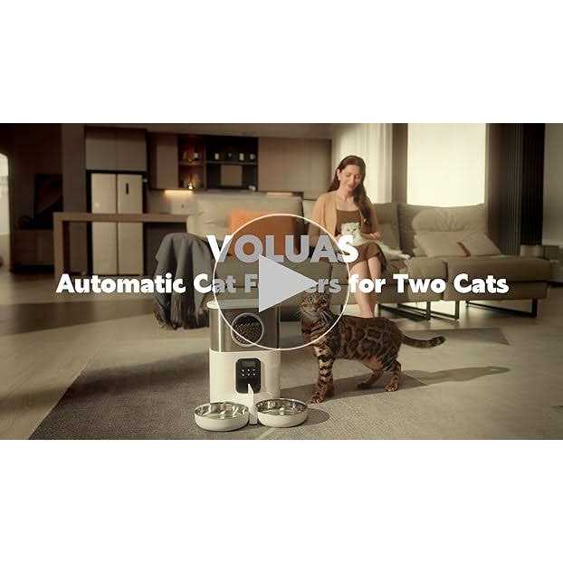 Voluas Automatic Cat Feeders for Two Cats Double Pet Feeder with 2 Stainless Steel Bowls - Pet Supplies online store