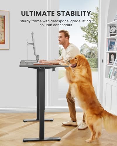 ErGear Height Adjustable Electric Standing Desk, 48 x 24 Inches Sit Stand up Desk, Memory Computer Home Office Desk with Two-Piece Desktop (Walnut)