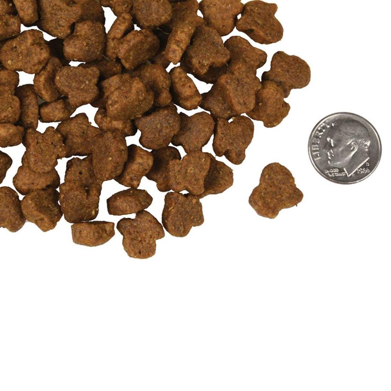 Fromm Four Star Hasen Duckenpfeffer Dog Food - Pet Supplies online store