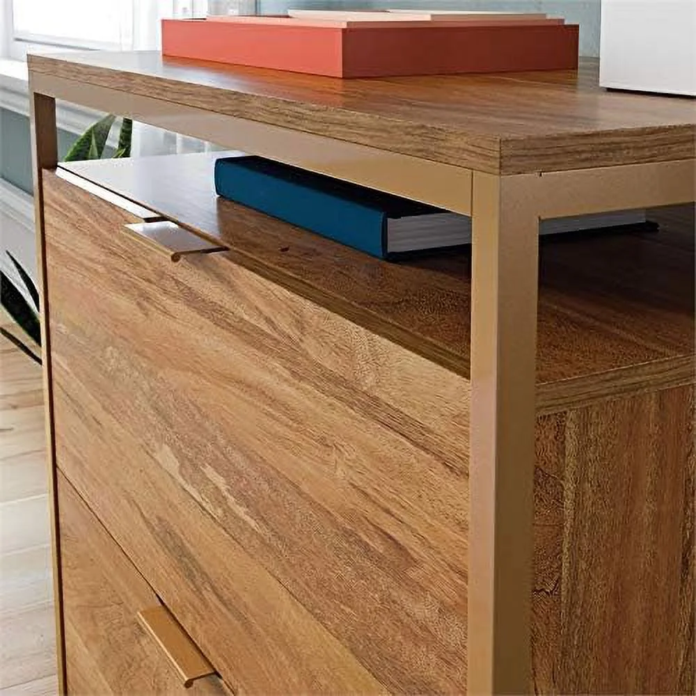 Engineered Wood File Cabinet In Sindoori /Brown/Gold