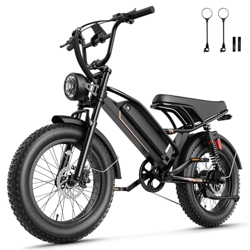 Jasion YR20 Electric Bike for Adults with Peak 2000W Motor, 48V 20AH Battery Electric Bicycle