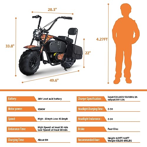 Oryxearth Electric Mini Dirt Bike, 36V Battery 1000W Motor Electrical Powered Motorcycle for Kids, 2 Speeds-15.5MPH/22 MPH, 2 Hanging Bags