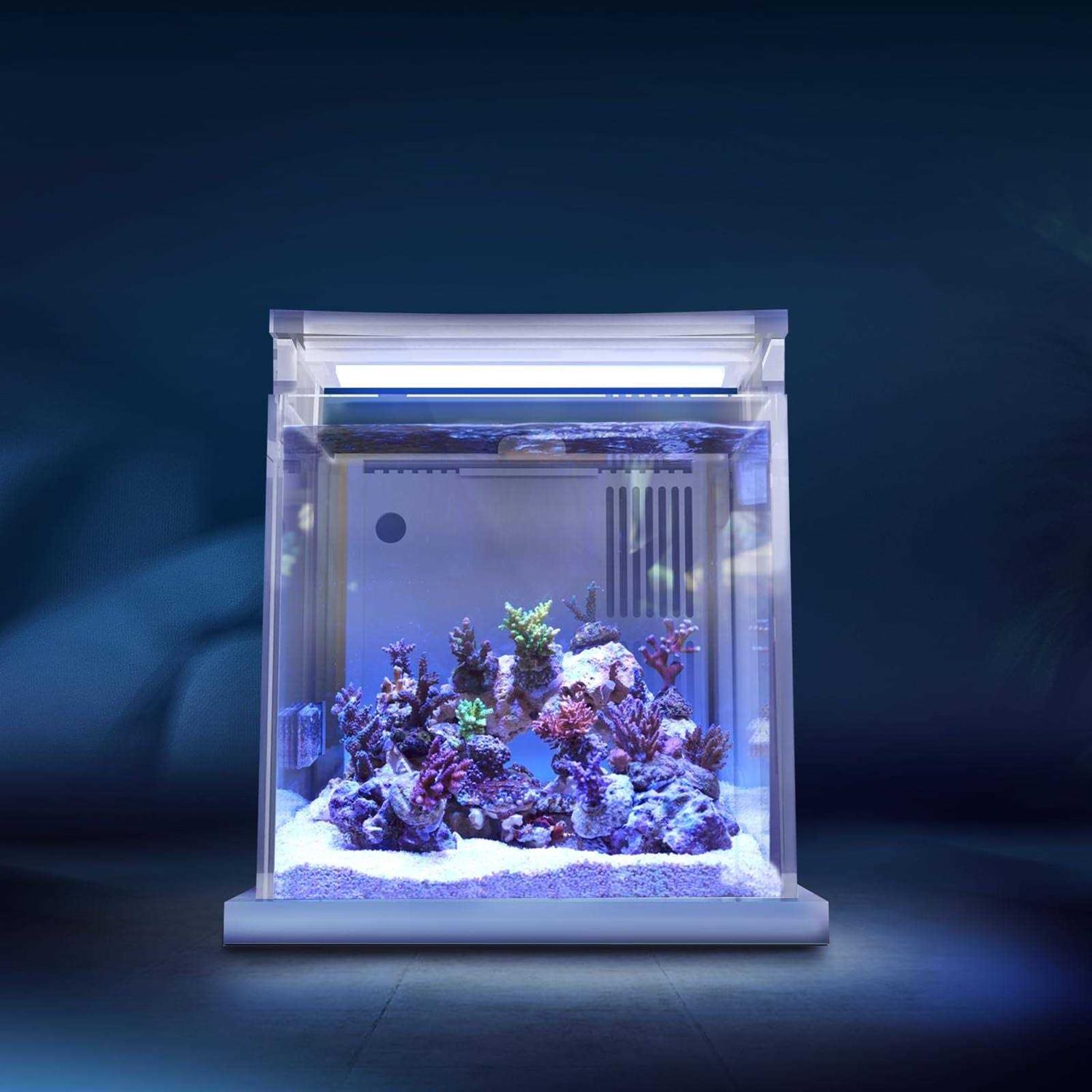 MagTool Premium All-in-One Desktop Mini Acrylic 0.95gal Reef Aquarium with Back Filter System and LED Light - Pet Supplies online store