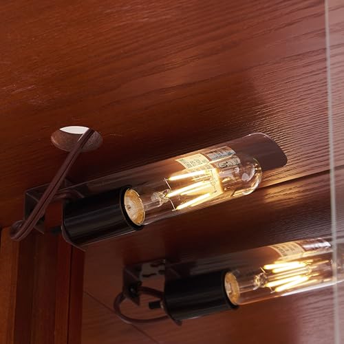 Curio Cabinet with Lighted, Display Cabinet with Glass Doors