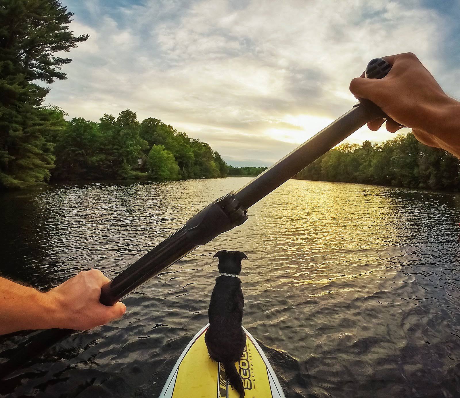 GoPro HERO+ Action Camera - 1080p