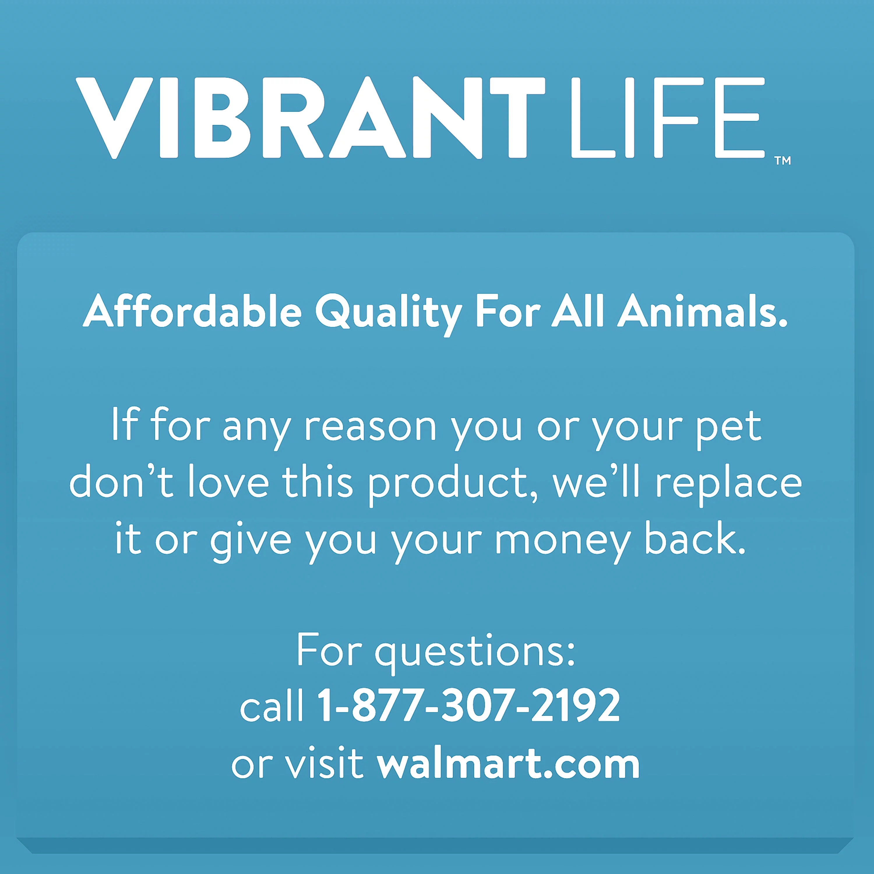 Vibrant Life Pet Kennel 19 X-Small Plastic Dog Crate Portable Carrier for Pets Up To 10 lbs