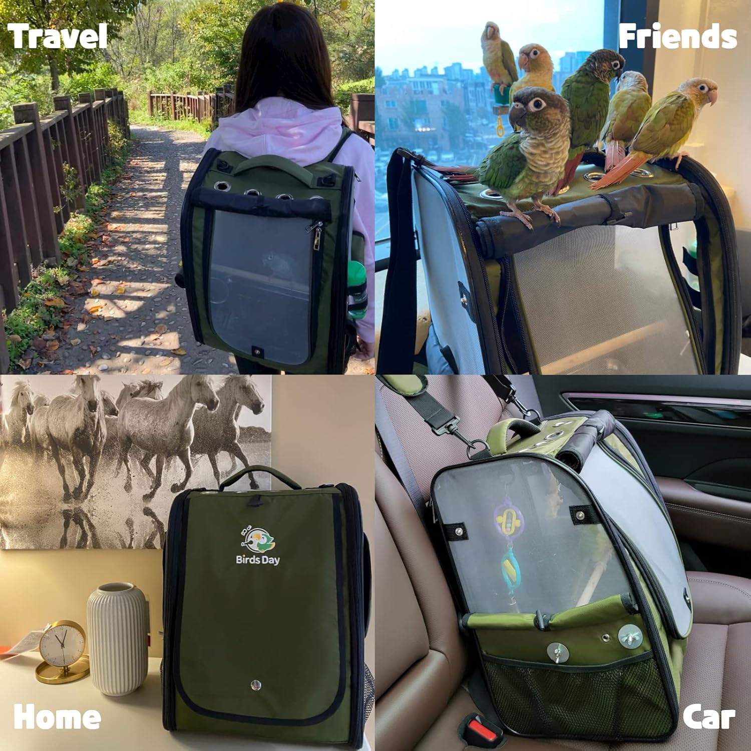 Birds Day Bird Carrier Backpack-Parrot Travel Cage with Perch and Feeding Cup, Stainless Steel Tray (Dark Olive Green)
