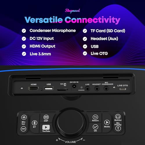 Karaoke Machine for Adults, with Lyrics Display, Smart Portable Big Bluetooth Speaker 2 Wireless Microphones