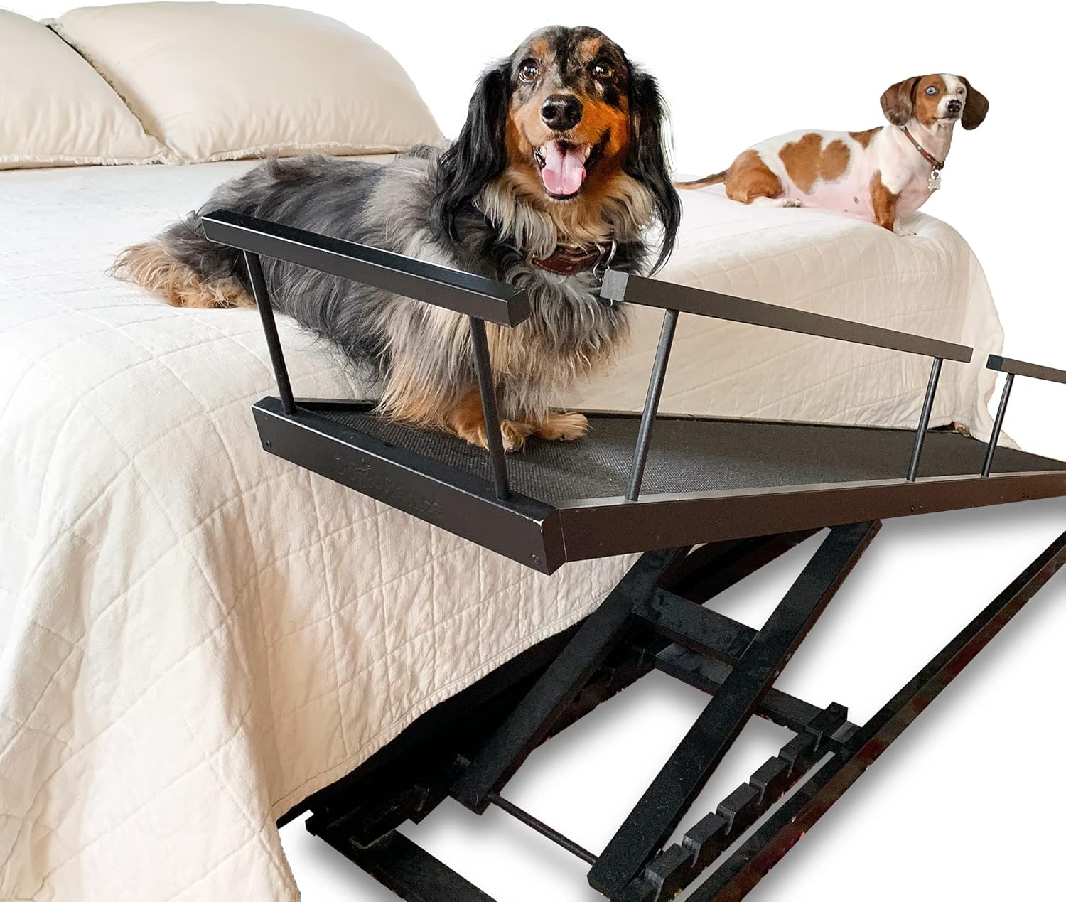 DoggoRamps - Bed Ramp for Small Dogs, Adjustable for All Beds up to 37 - Solid Hardwood, Made in North America