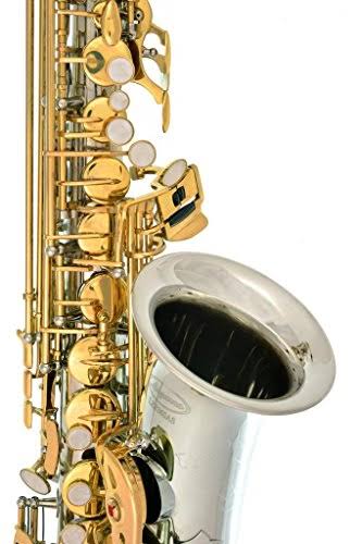 Lazarro Professional Silver Body-Gold Keys Eb E Flat Alto Saxophone Sax with 11 Reeds, Case u0026 Many Extras - 360-2C