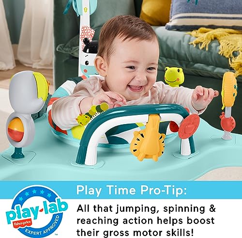 Fisher-Price Baby Bouncer Palm Paradise Jumperoo Activity Center with Music Lights Sounds and Developmental Toys​