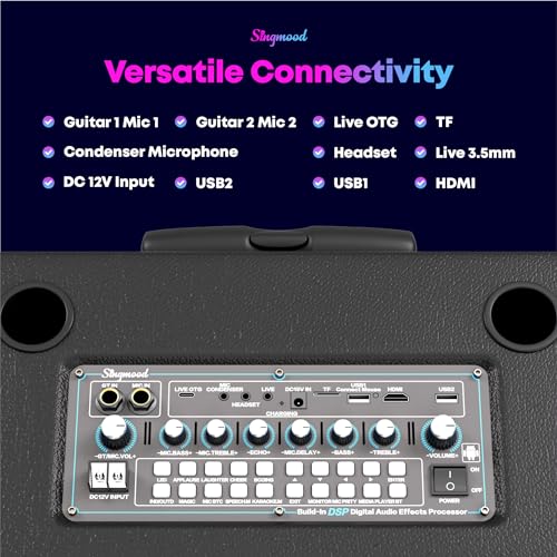 Karaoke Machine for Adults, with Lyrics Display, Smart Portable Big Bluetooth Speaker 2 Wireless Microphones