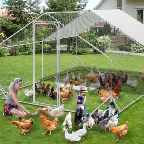 Large Metal Chicken Coop, Walk-in Poultry Cage