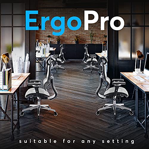 Oline ErgoPro Ergonomic Office Chair, Rolling Desk Chair with 4D Adjustable Armrest, 3D Lumbar Support, Blade Wheels