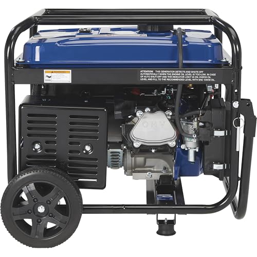 Powerhorse Portable Dual Fuel Generator with Electric Start, 9500 Watts