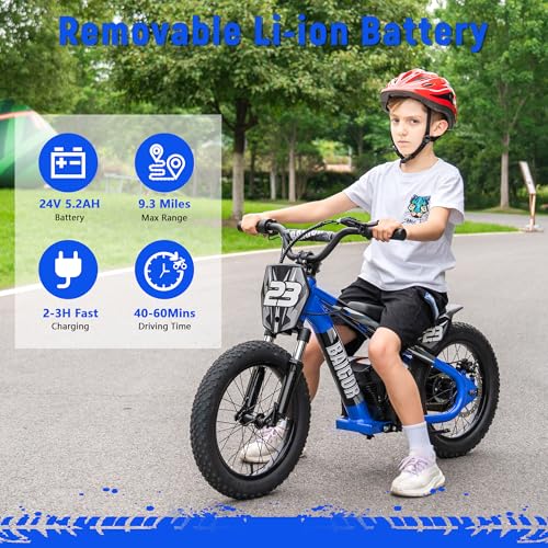 wanan Electric Dirt Bike for Kids 6-12 with Shock-Absorbing Front Fork, 250W Electric Motorcycle Up to 15.5MPH, 24V Detachable Battery, 16''