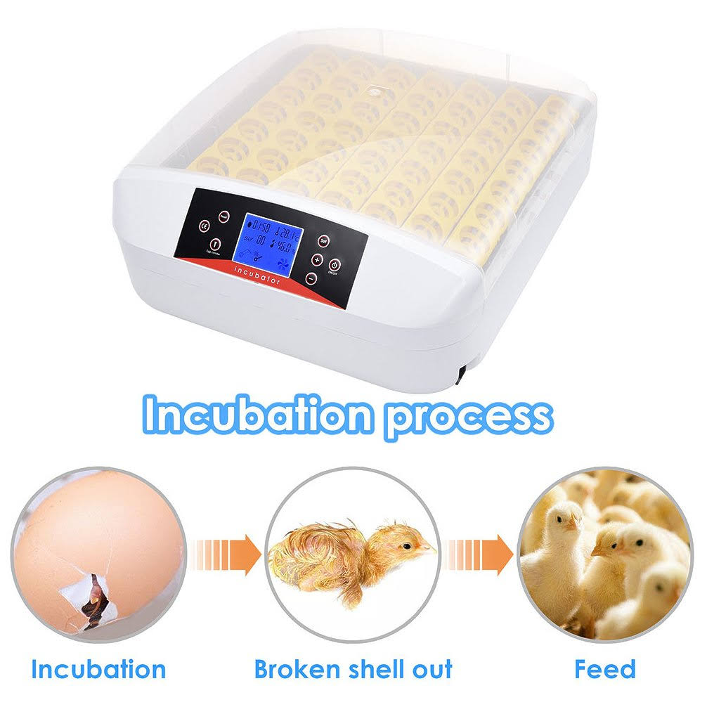 Yescom Digital 56 Egg Incubator Hatcher Temperature Control Automatic Turning with Built-in LED Candler