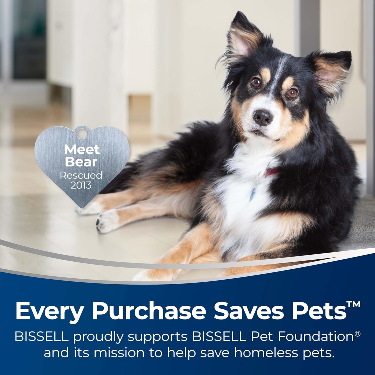 BISSELL CrossWave Cordless Max All in One Wet-Dry Vacuum Cleaner and Mop for Hard Floors and Area Rugs, Black, 2554A - Smart Home Appliances
