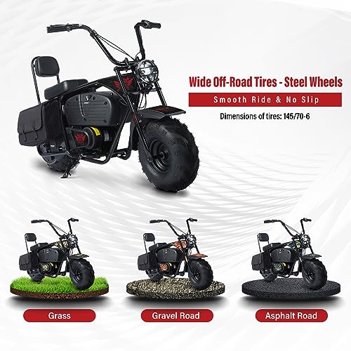 Oryxearth Electric Mini Dirt Bike, 36V Battery 1000W Motor Electrical Powered Motorcycle for Kids, 2 Speeds-15.5MPH/22 MPH, 2 Hanging Bags