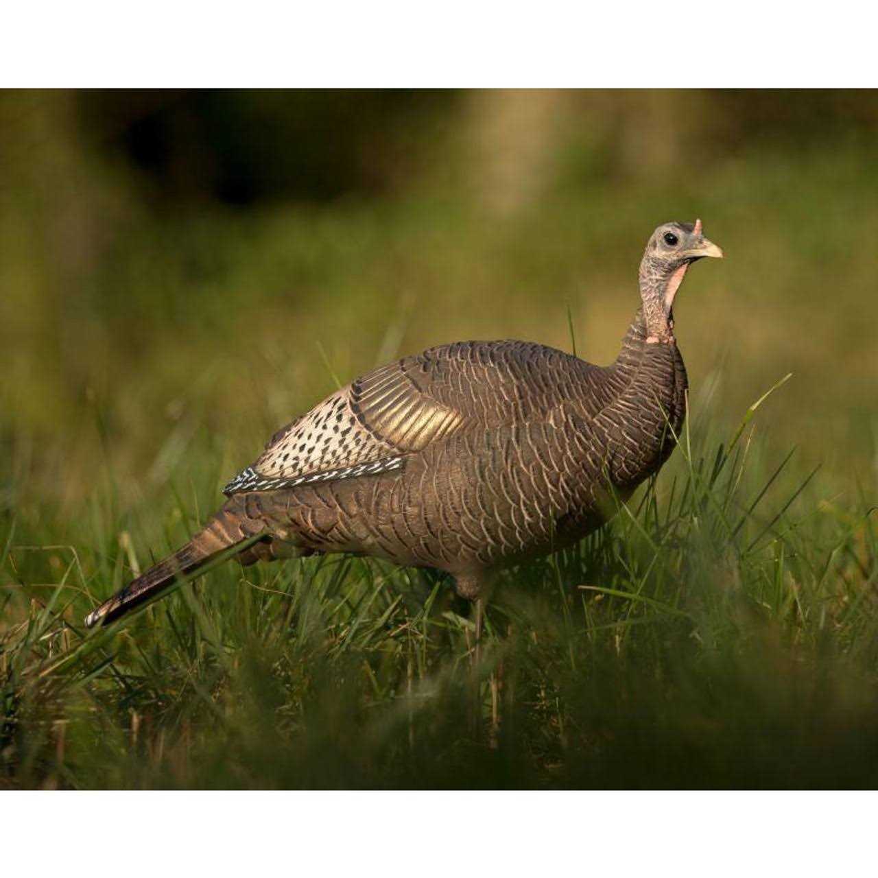 Dave Smith Decoys Upright Hen Decoy - Sports Supplies Online Store