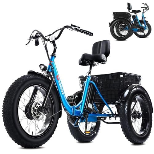 Electric Tricycle for Adults, 20" x 4.0 Fat Tire Electric Trike, Peak 750W 25MPH 36V 13Ah Lithium Battery UL Certified