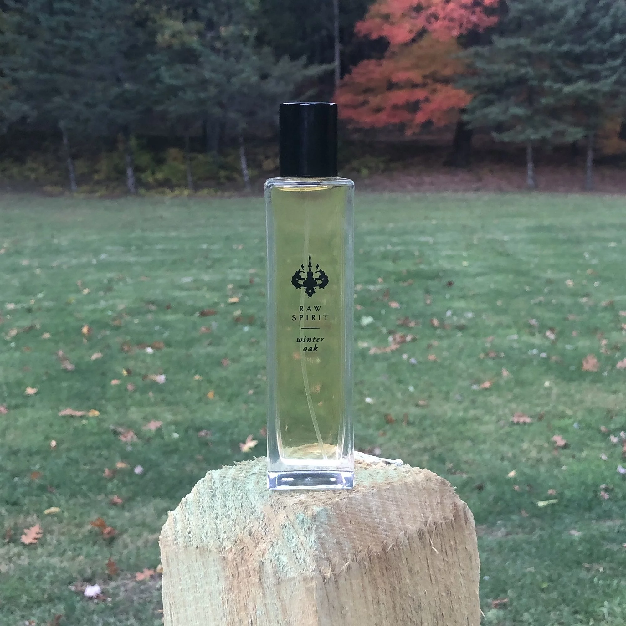 WINTER OAK Perfume, Eau de Parfum Spray 3.4 oz Luxury Size