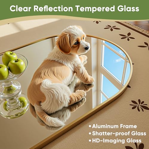 Floor Mirror, 78"x38" Oversized Full Length Mirror with Stand,Arched Full Body Mirror Standing Hanging Leaning Against Wall