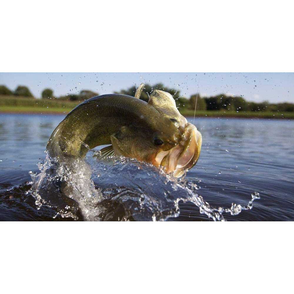 Purina Game Fish Chow - Pet Supplies online store