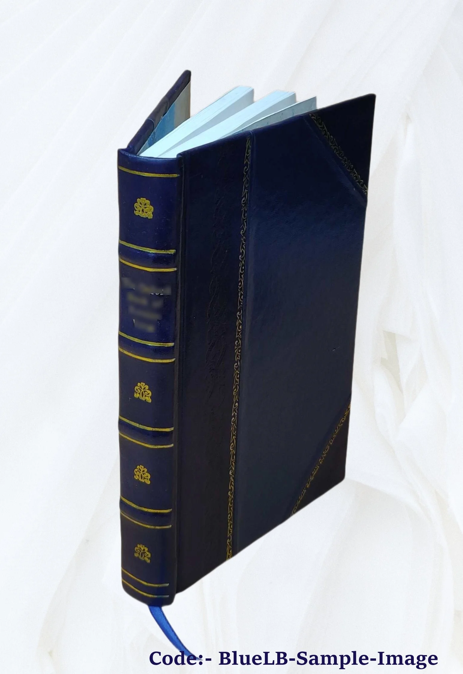 A Yacht Voyage Round England 1870 [Leather Bound]