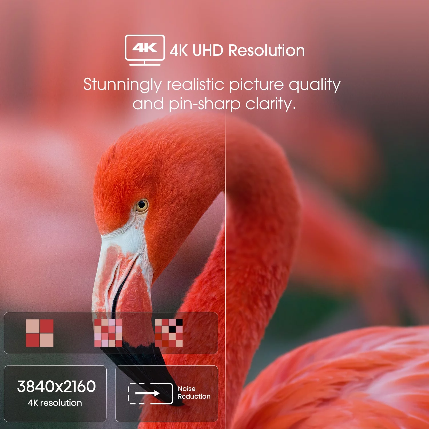Restored Hisense 43" Class 4K UHD Google Smart TV HDR A6H Series 43A6H [Refurbished]