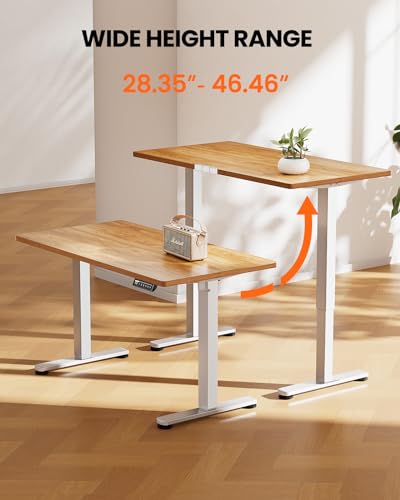 ErGear Height Adjustable Electric Standing Desk, 48 x 24 Inches Sit Stand up Desk, Memory Computer Home Office Desk with Two-Piece Desktop (Walnut)
