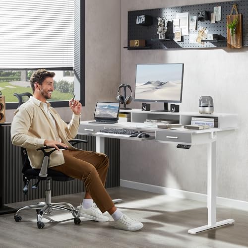 48x24 Inches Electric Standing Desk with 2 Drawers, Height Adjustable Stand up Desk for Home Office, Ergonomic Sit to Stand Table with Storage Shelf