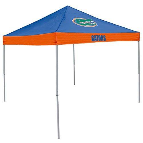 Michigan State Spartans Economy Tailgate Canopy Tent
