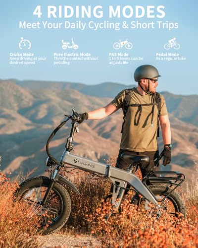 Electric Bike for Adults,1500W Peak Motor,60Miles 28/30MPH,20" Fat Tire All-Terrain Foldable Ebike