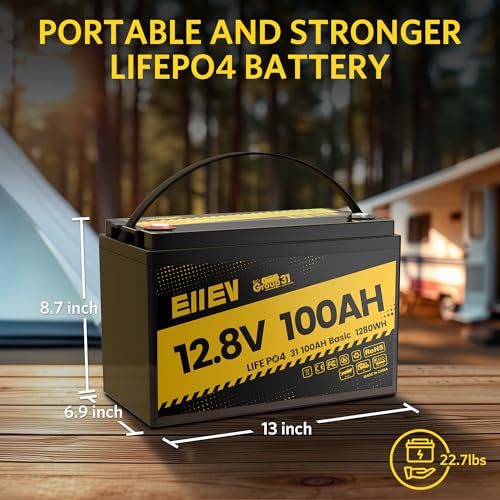 12V 100Ah Lithium Battery,Low-Temp Protection LiFePO4 Battery,Built-in100A BMS,15000+Deep Cycle