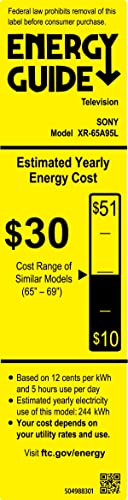 Sony A95L Series TV with Mount and Screen Cleaner (2023)